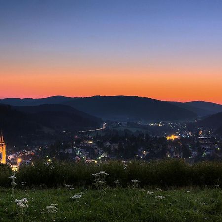Drei Tannen - Wohnung 04 - Apartmenthaus, Titisee, Nahe Badeparadies ภายนอก รูปภาพ