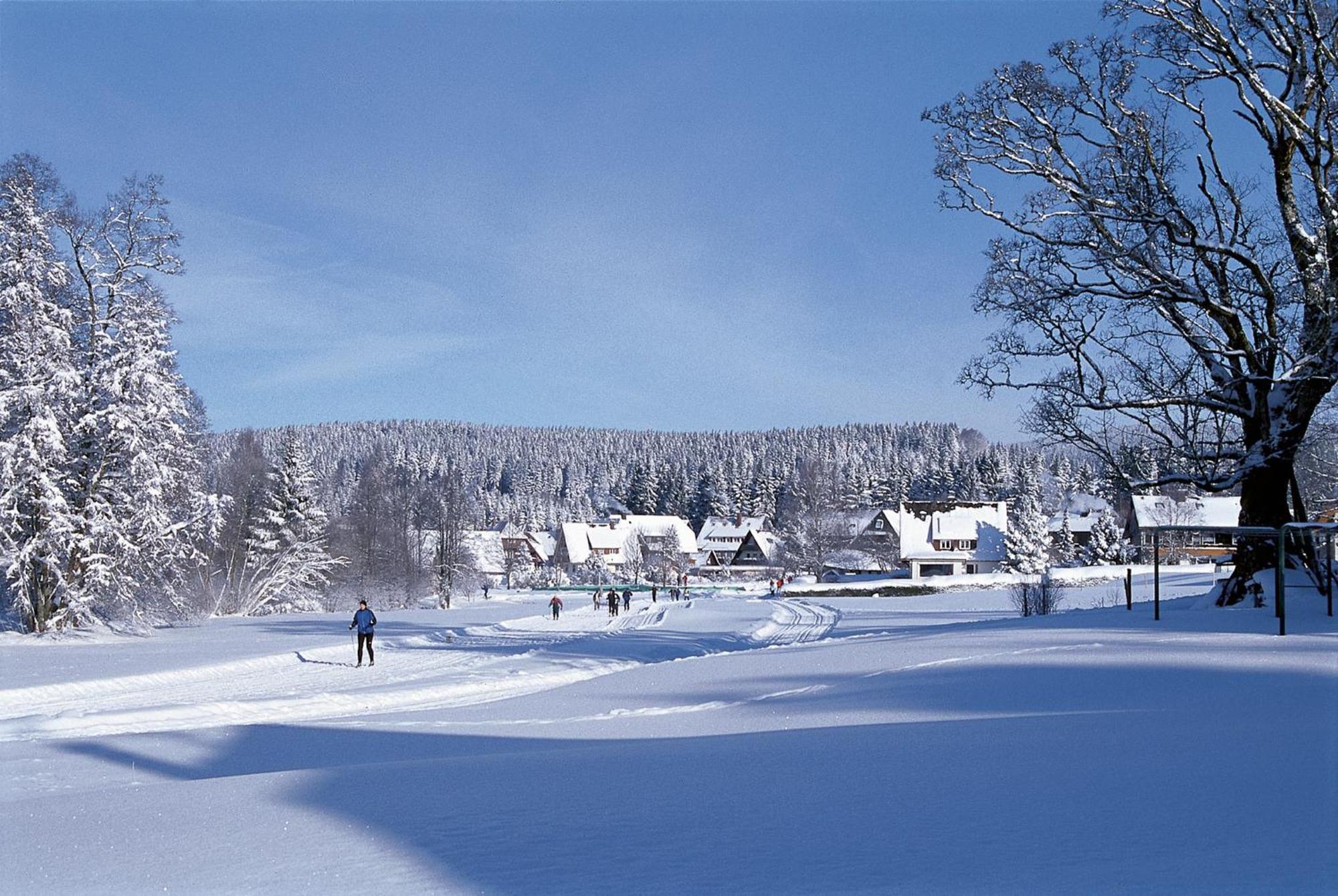 Drei Tannen - Wohnung 04 - Apartmenthaus, Titisee, Nahe Badeparadies ภายนอก รูปภาพ