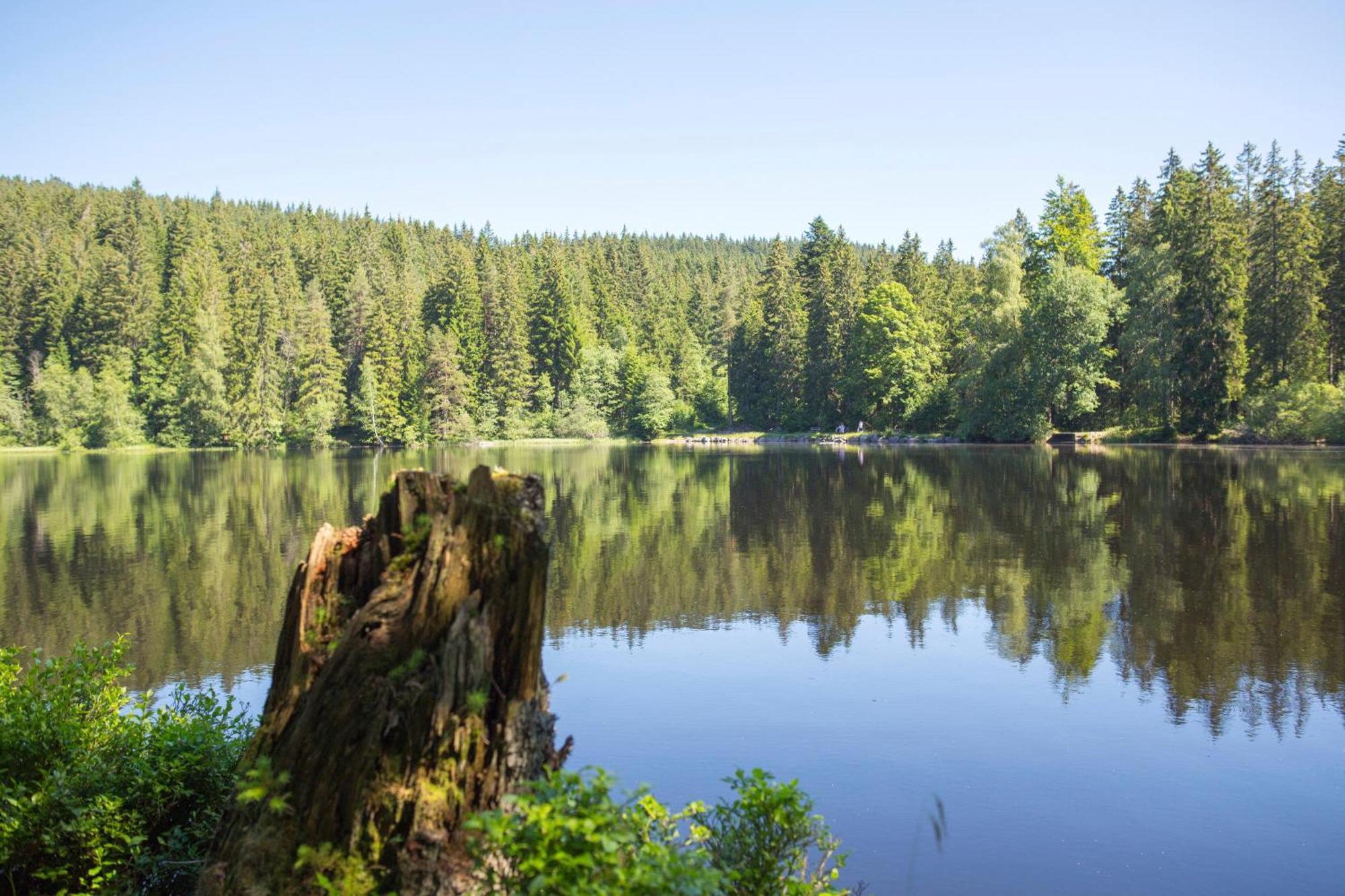 Drei Tannen - Wohnung 04 - Apartmenthaus, Titisee, Nahe Badeparadies ภายนอก รูปภาพ