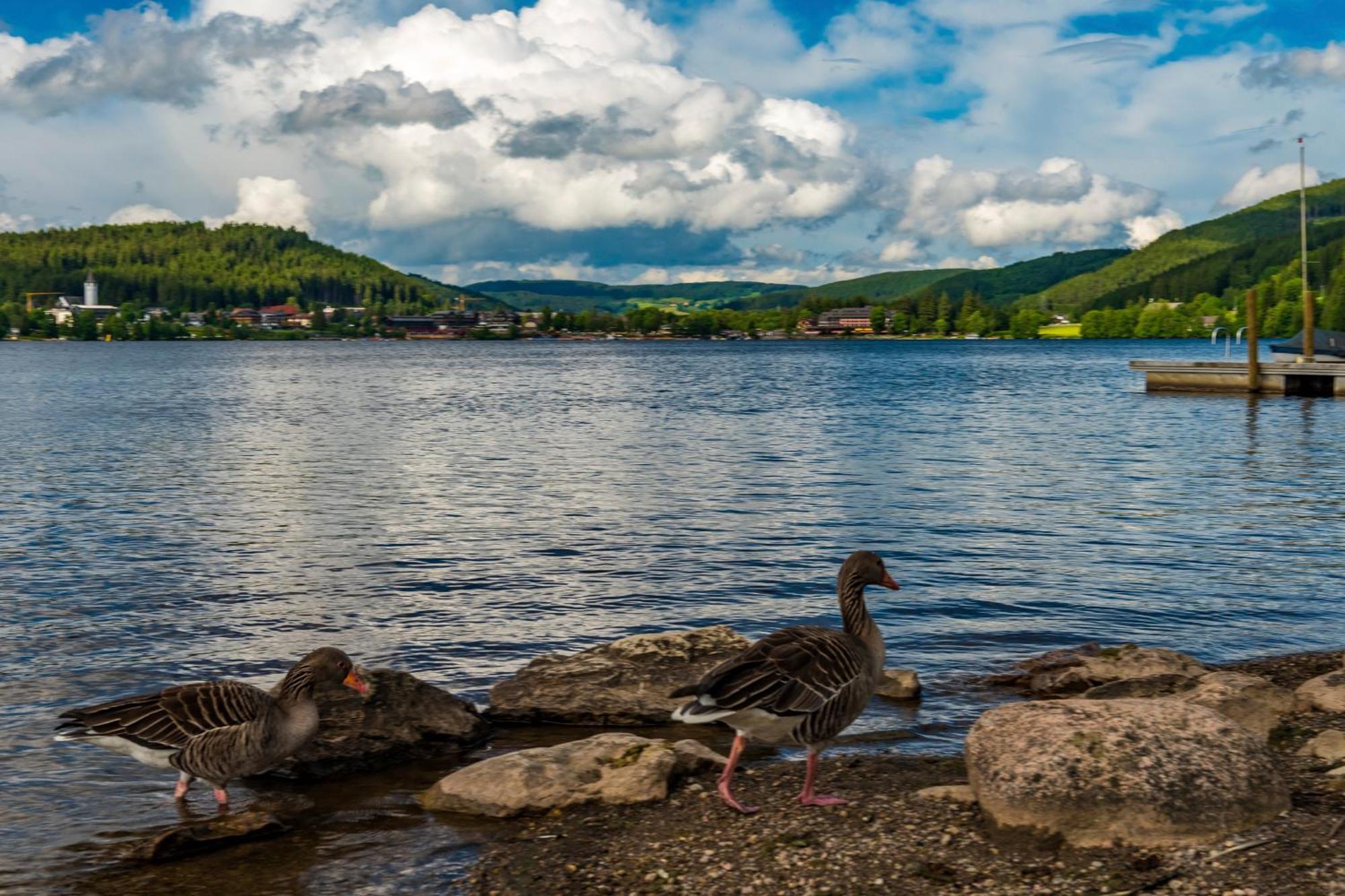 Drei Tannen - Wohnung 04 - Apartmenthaus, Titisee, Nahe Badeparadies ภายนอก รูปภาพ