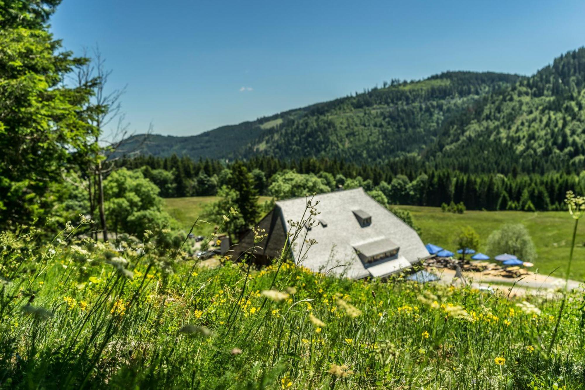 Drei Tannen - Wohnung 04 - Apartmenthaus, Titisee, Nahe Badeparadies ภายนอก รูปภาพ