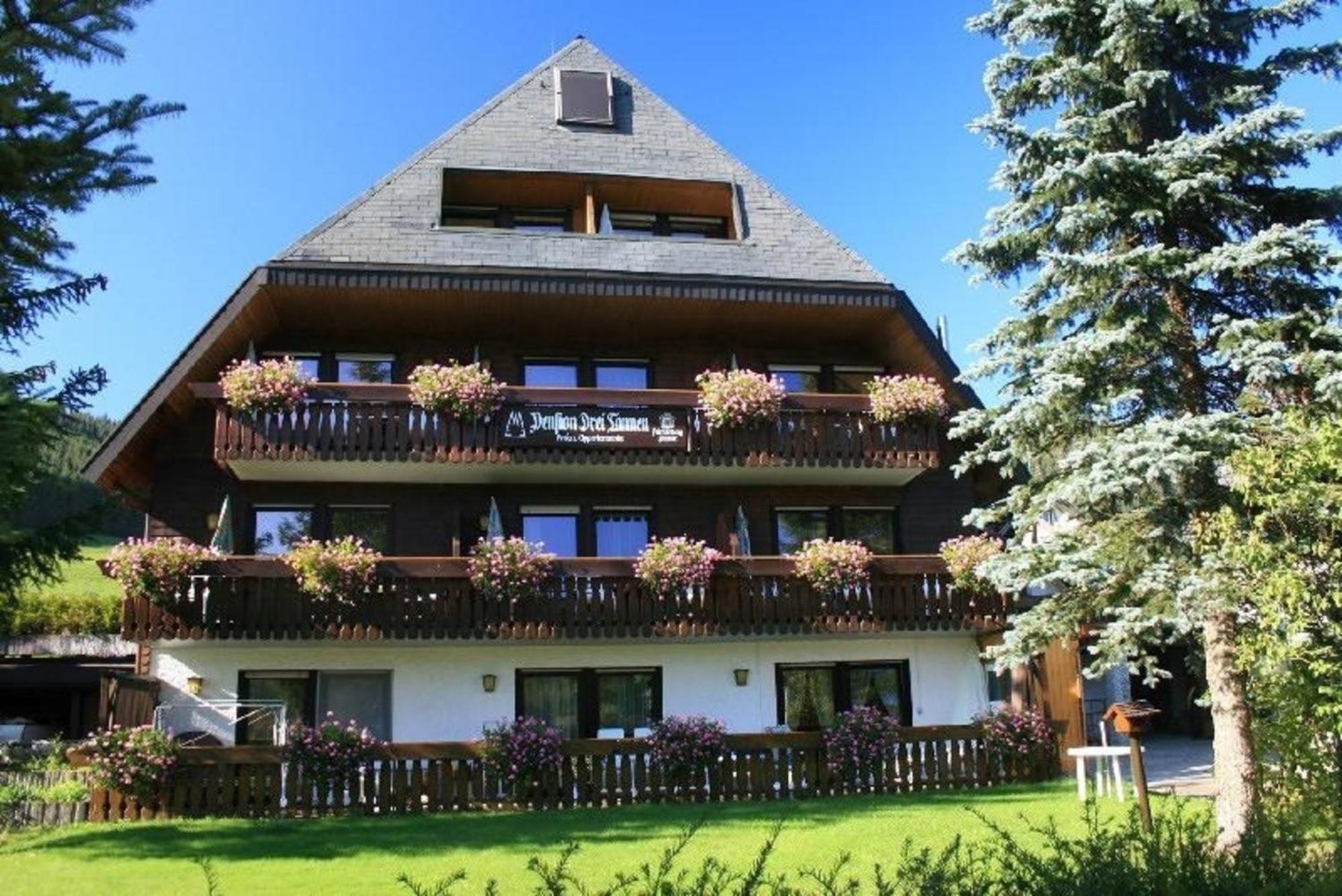 Drei Tannen - Wohnung 04 - Apartmenthaus, Titisee, Nahe Badeparadies ภายนอก รูปภาพ